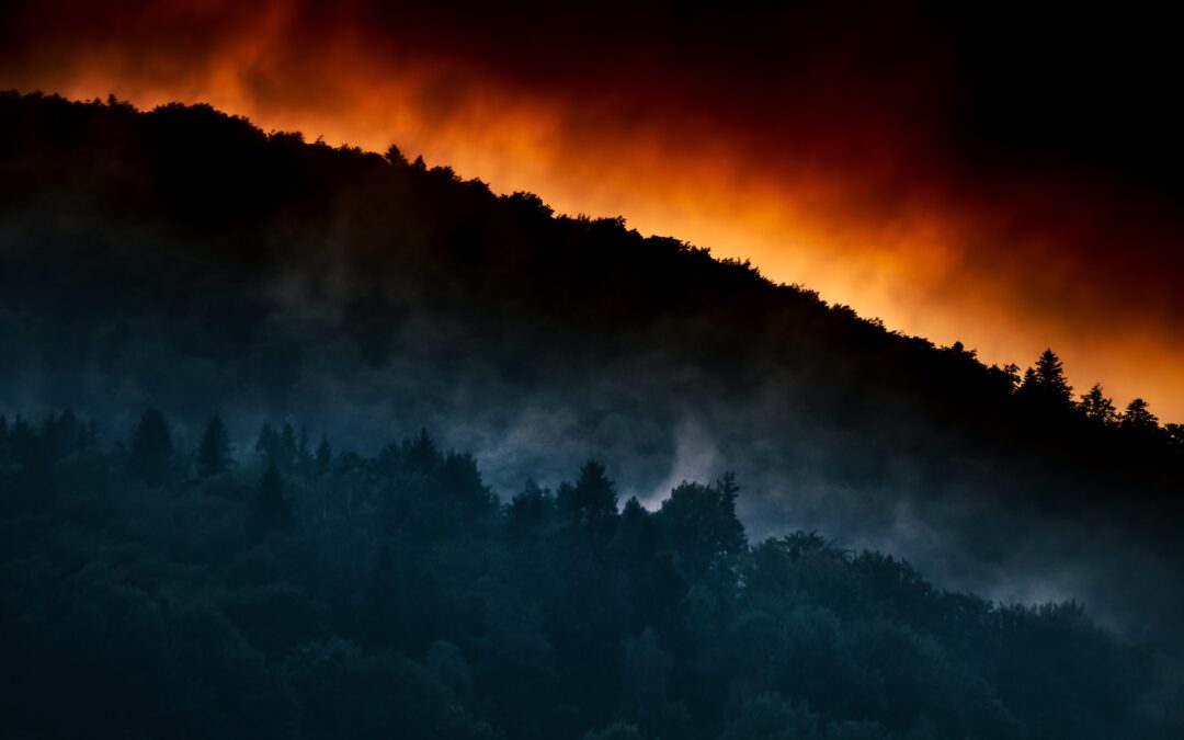 10 Ways to Protect Your Home During Wildfire Season